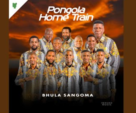 Pongola home train - UMUNTU