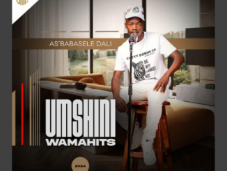 Umshini wamahits - Asibabasele dali