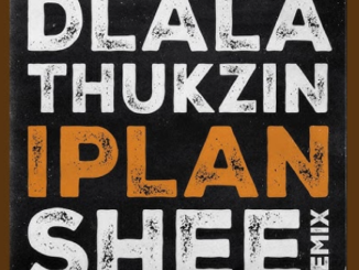 Dlala Thukzin "iPlan (SHEE Remix)"