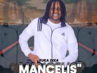 Mancelisa intandane - Umsila wengwe